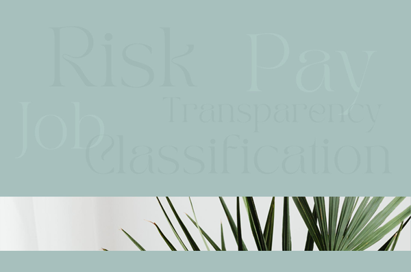HS - Pay Transparency and Job Classification Legal Risks and HR Best Practices